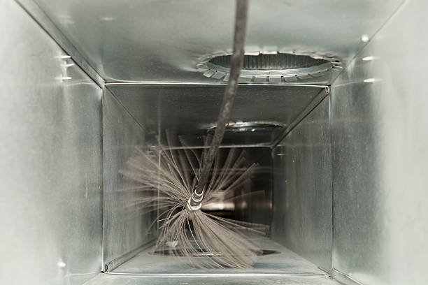 Best Professional Duct Cleaning Services  in Bloomfield, NY